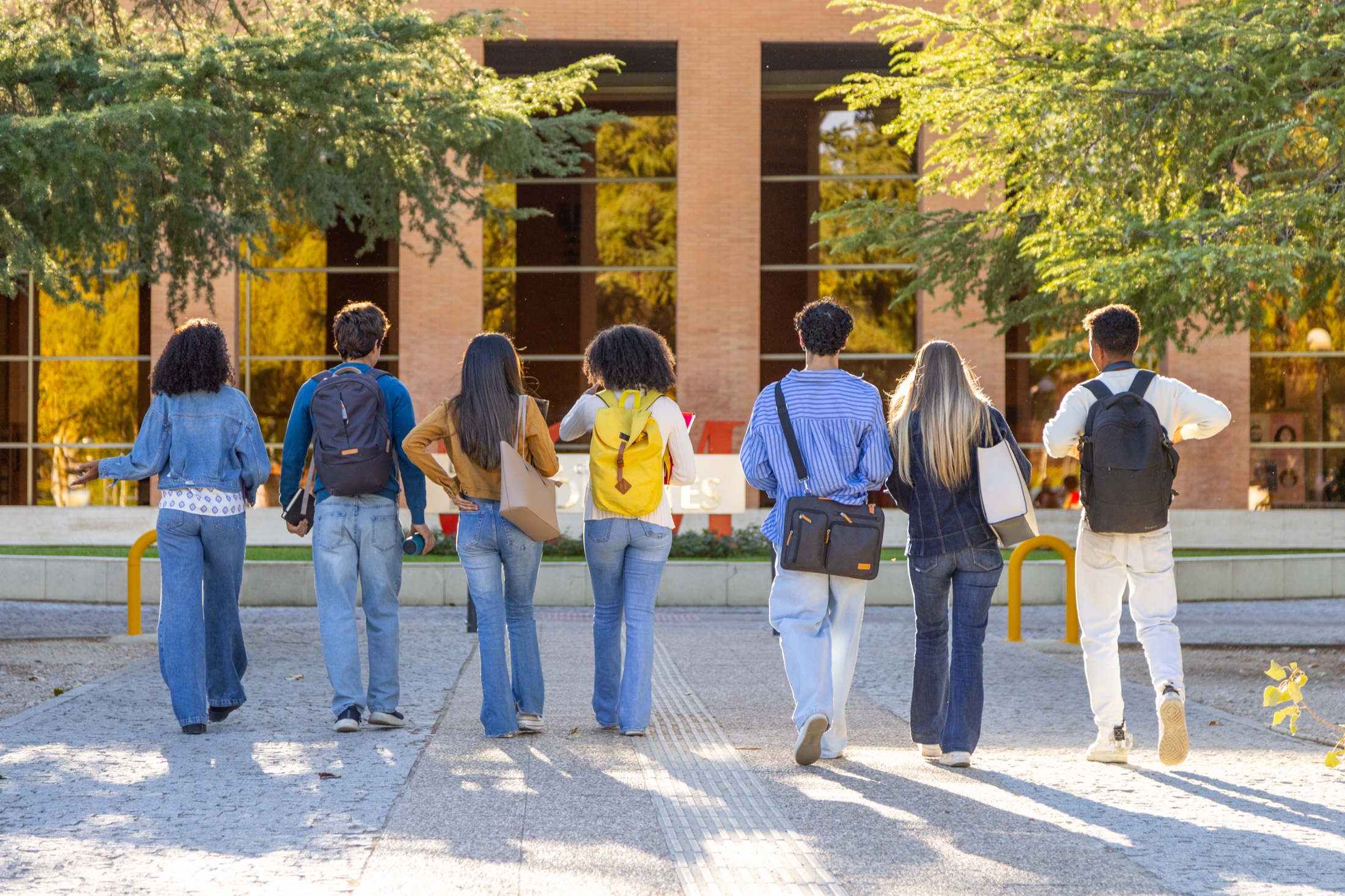 A group of students walking together along a tree-lined campus path toward a brick academic building in warm afternoon light, seen from behind.