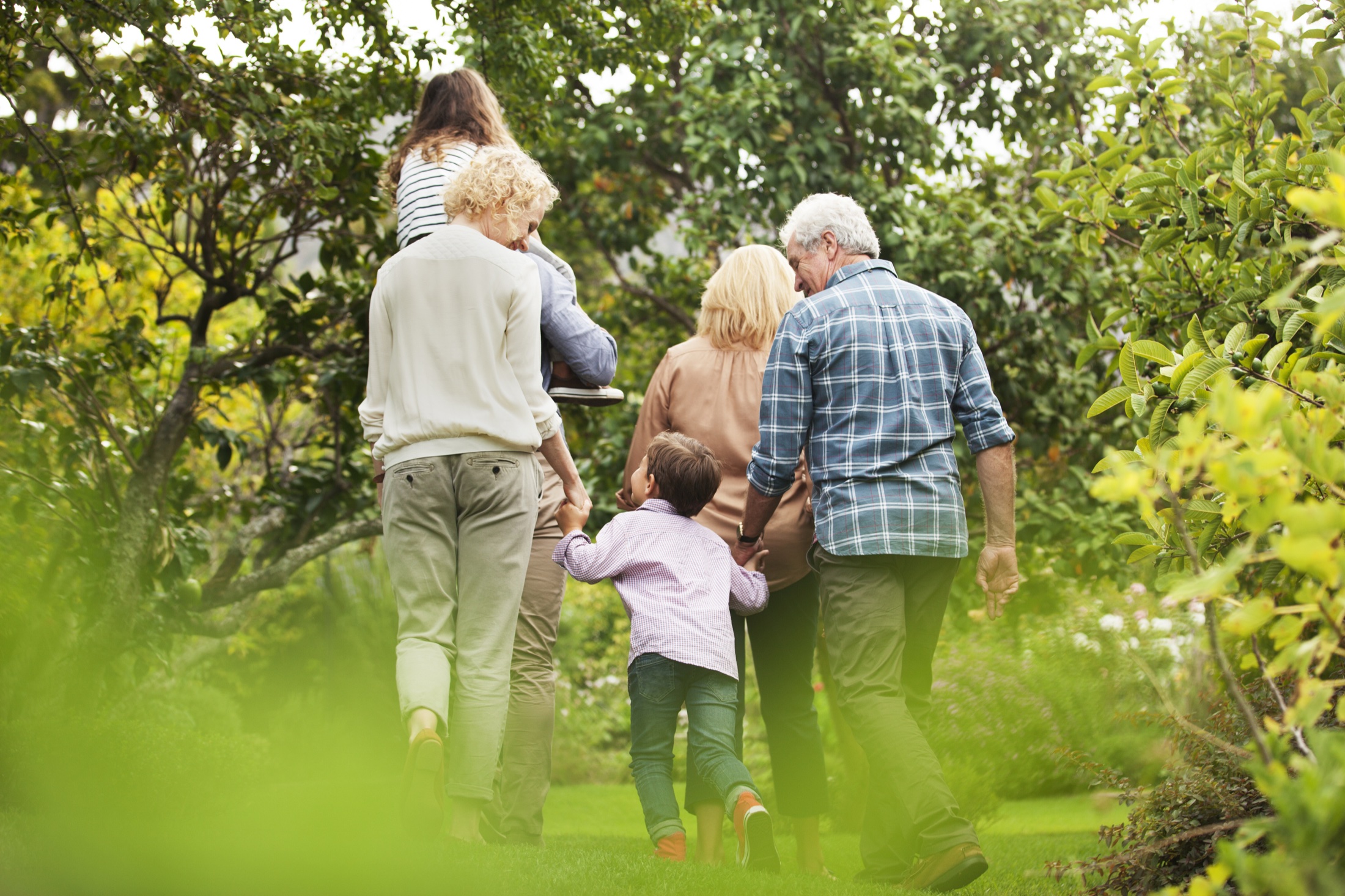 A multigenerational family walking together through a sunlit orchard.